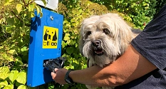 Zahlreiche Beutelspender helfen aus, wenn der Beutel versehentlich zu Hause vergessen wurde.&nbsp;&copy;&nbsp;DBM, Sonja Stender