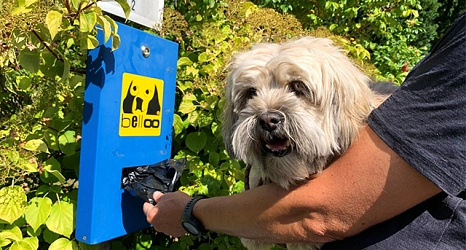 Zahlreiche Beutelspender helfen aus, wenn der Beutel versehentlich zu Hause vergessen wurde.&nbsp;&copy;&nbsp;DBM, Sonja Stender