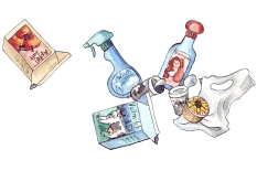 Duales System - Verpackungen&nbsp;&copy;&nbsp;Universitätsstadt Marburg
FD Umwelt
