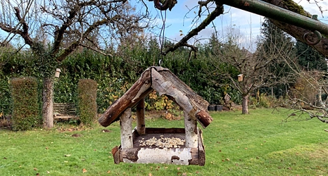 Das Foto zeigt ein Futterhäuschen aus Holz, das mit einer Handvoll gehacktenrErdnüsse bestückt ist.&nbsp;&copy;&nbsp;DBM, Sonja Stender