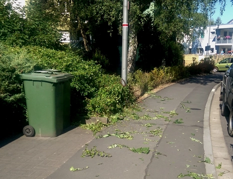 Hecke am Bürgersteig nach erfolgten Rückschnitt&nbsp;&copy;&nbsp;Universitätsstadt Marburg