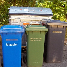 Das Foto zeigt eine Altpapier-, Bio- und Restabfalltonne vor einem 1,1 cbm Rollcontainer.&nbsp;&copy;&nbsp;DBM, Sonja Stender